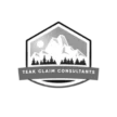 teakautoclaimsnv.com